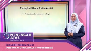 Menengah Atas 2022  Klip  Biologi Tingkatan 5 Peringkat Utama Dalam Fotosintesis [upl. by Ertnod]