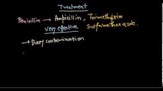 Listeria monocytogenes treatment [upl. by Annairdua]