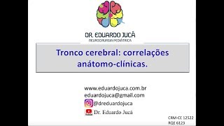 Tronco cerebral correlações anátomo clínicas [upl. by Ydnys]