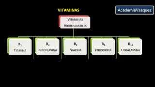 Vitaminas Historia Estructura y Clasificación [upl. by Cromwell171]