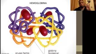 Química Biológica  Hemoglobina [upl. by Innoj]