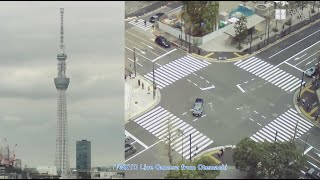 TOKYO Live Camera from Otemachi 東京・大手町のライブカメラ [upl. by Lacsap]