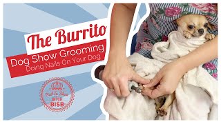 Dog Grooming How To Trim Nails On A Difficult Dogs [upl. by Adnaerb]