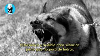 SONIDO DE BAJA FRECUENCIA para callar perrosultrasonico para que no ladre ¡5 HORAS SEGUIDAS [upl. by Samuella]