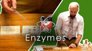 Enzymes  GCSE Science Required Practical [upl. by Pickard]