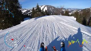 🏔️ Rodeln Allgäu 🚠  Rodel Abfahrt 🗻 Hochgrat mit Speed 🚡 [upl. by Enirehtahc]