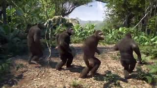 monkeys dancing [upl. by Woodberry]