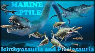 Evolution of Marine reptiles [upl. by Nade]