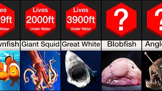 Comparison Deepest Living Sea Creatures [upl. by Prent]