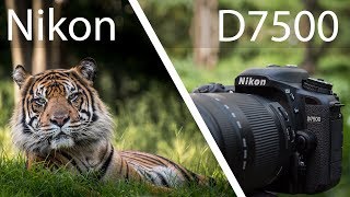 Nikon D7500 Review  Powerful But Not Perfect [upl. by Goraud]