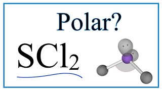 Is SCl2 Polar or NonPolar Sulfur dichloride [upl. by Hploda]