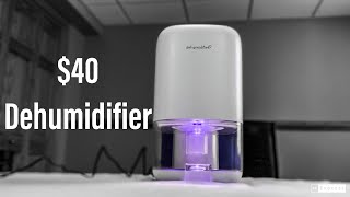 Portable Dehumidifier Review [upl. by Randi]