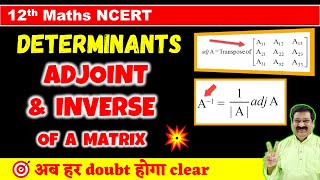 10 Adjoint amp Inverse of Matrix Determinants NCERT Class 12 Maths Adjoint of a Matrix Inverse [upl. by Dorreg]