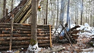 Solo Bushcraft Camp 2 Nights in the Snow  Natural Shelter Minimal Gear [upl. by Werby]