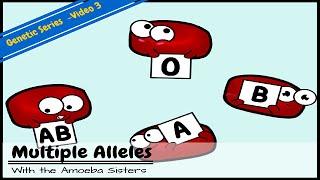 Multiple Alleles ABO Blood Types and Punnett Squares [upl. by Ennayrb]