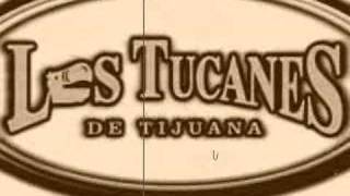 TUS VERDADES TUCANES DE TIJUANA [upl. by Susejedairam]