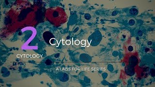 Cytology [upl. by Oirtemed]