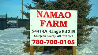 Namao Farm Sturgeon County [upl. by Auoy]