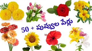 Flowers names  పువ్వుల పేర్లు English to Telugu flowers names [upl. by Adamson]