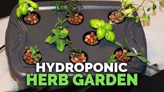 Hydroponic Herb Garden Guide [upl. by Yerbua]