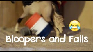 Schleich Filming Bloopers amp Fails 2019 [upl. by Lashoh]