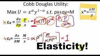 Elasticity Derivations from Marshallian Demand Functions [upl. by Seerdi459]