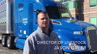 NCI Wilson Livestock Trailer Tour [upl. by Nairim]