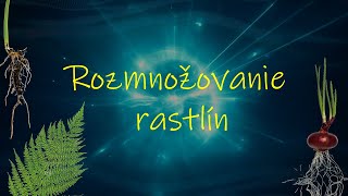 Biológia 8 ročník  Rozmnožovanie rastlín [upl. by Leirej]