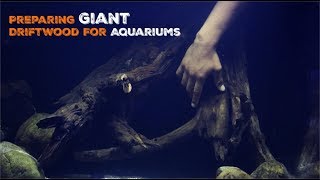 How To Prepare Large Driftwood For Aquariums [upl. by Aivizt]