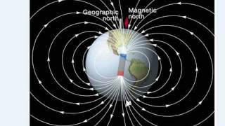 Magnetic Reversals and Sea Floor Spreading [upl. by Sinnod295]