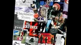 Babyshambles Sessions  Part 1  The Libertines [upl. by Aram]