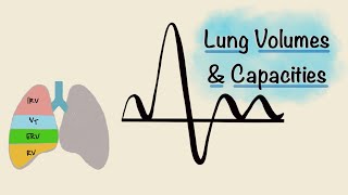 What do Smokers Lungs Look Like [upl. by Secnarfyram]