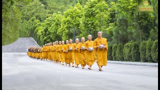 Alms Round  A Beautiful Tradition Of Buddhism  Ba Vang Pagoda Vietnam [upl. by Ydospahr]