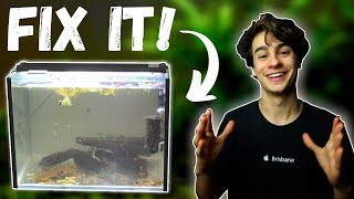 How to Fix Cloudy Water in an Aquarium Easiest Method [upl. by Glinys628]