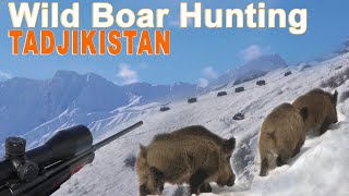 Wild Boar Attila Keiler Hunting with ski in Tadjikistan  2019 Chasse Sanglier Attila [upl. by Sephira]