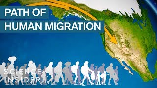 Map Shows How Humans Migrated Across The Globe [upl. by Sirrap]