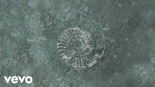 Ludovico Einaudi  Einaudi Fossils Official Visualiser [upl. by Grishilde]