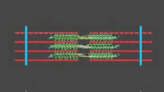 How a muscle contraction is signalled  Animation [upl. by Caswell]