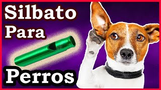 Silbato para perros  Sonido ultrasónico para perros [upl. by Carlene]