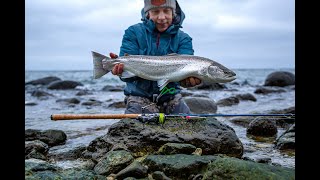 SEA TROUT HUNTING – HAVSÖRINGSJAKT [upl. by Anrim322]