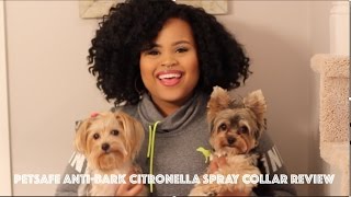 PETSAFE ANTIBARK CITRONELLA SPRAY COLLAR REVIEW [upl. by Gould613]