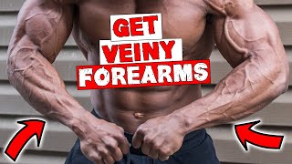 FOREARM WORKOUT FOR VEINS  DUMBBELLS OR BARBELL [upl. by Betz]