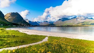 Uplifting Music  light positive happy music Gullrosøya  1 hour [upl. by Ttocs]