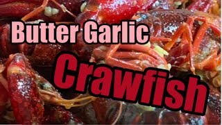 How to Boil Crawfish  Cajun Butter Garlic Crawfish recipe [upl. by Sperling]