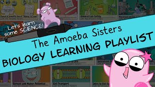 Amoeba Sisters Biology Learning Playlist Introduction [upl. by Broddy]