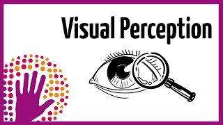 Visual Perception – How It Works [upl. by Aisatnaf529]