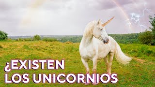 ¿CUAL es el ORIGEN de los UNICORNIOS 1 [upl. by Ardisi949]