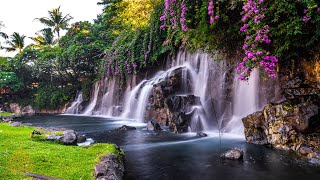 Relaxing Zen Music with Water Sounds • Peaceful Ambience for Spa Yoga and Relaxation [upl. by Kassab]