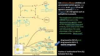 Pharm2  ED50 LD50 Therapeutic index margin of safety partial amp full agonist [upl. by Ahsital]