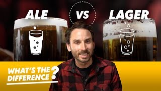 Ale vs Lager Beer — Whats the Difference [upl. by Anuahsar]